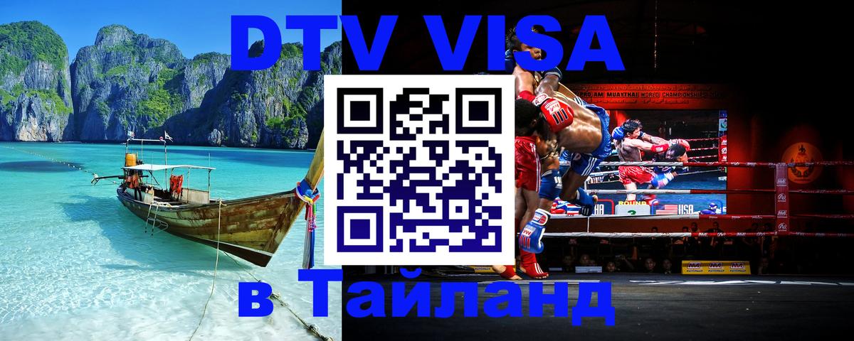 Оформление DTV визы под ключ: стоимость и тарифы, только загранпаспорт - Домодедово 
